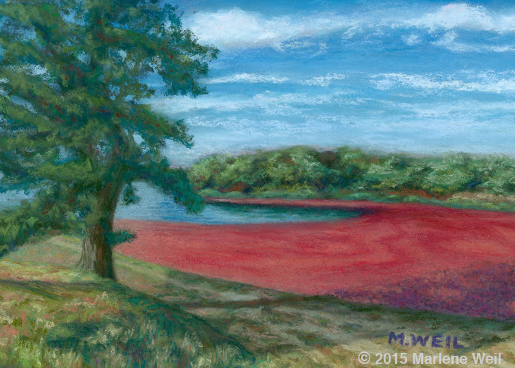 Cape Cod Cranberries