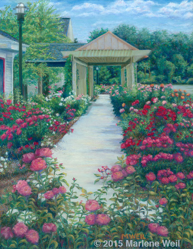 Community Roses in June