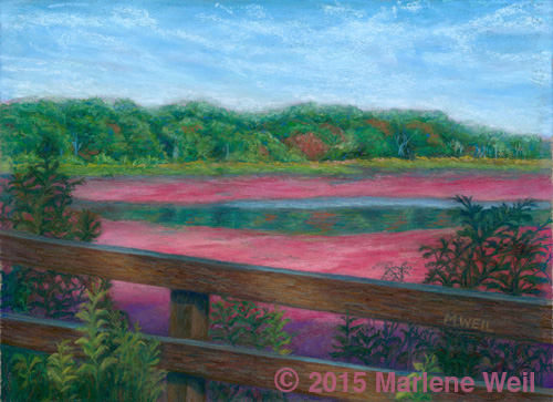 Cranberry Harvest