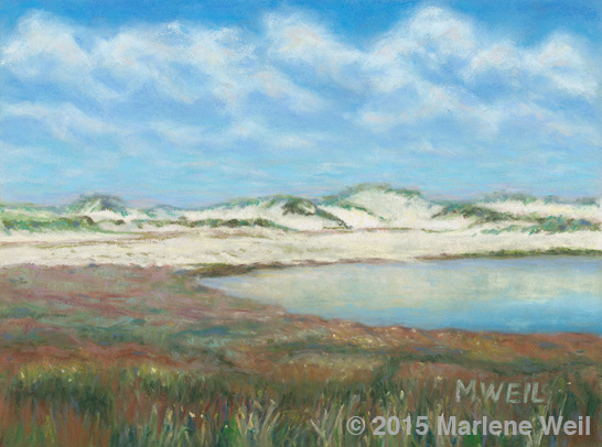 Dune Reflections