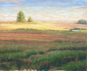 Late Afternoon