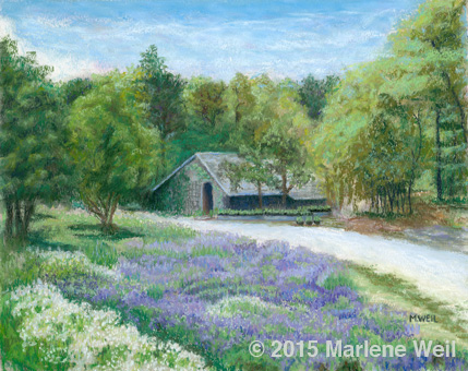 Lavender Farm