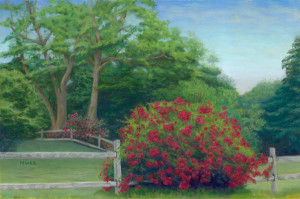 Rail Roses     12×18
