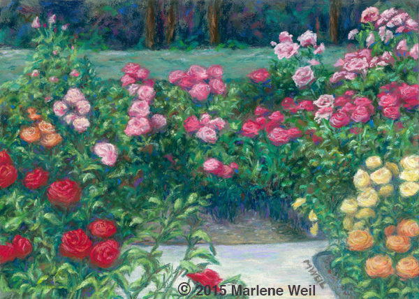 Rose Garden