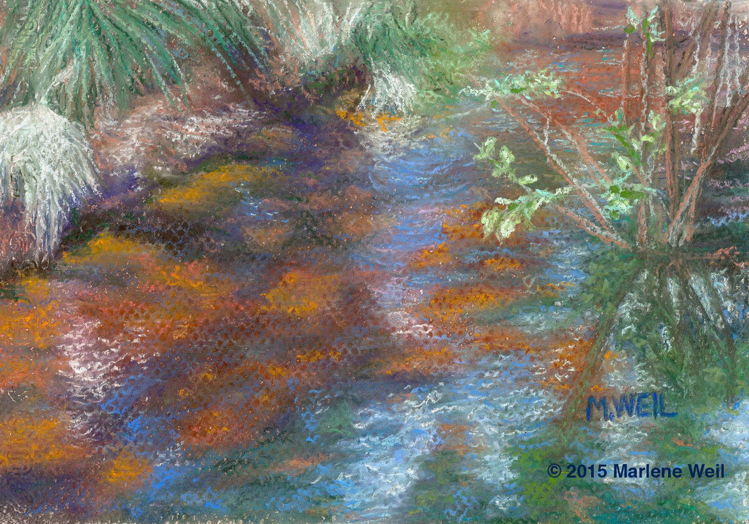 Stream of Shadows